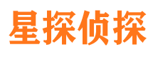 远安市调查公司